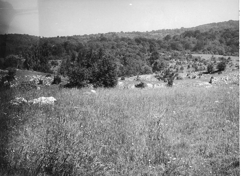 scan0102 - Plesivec